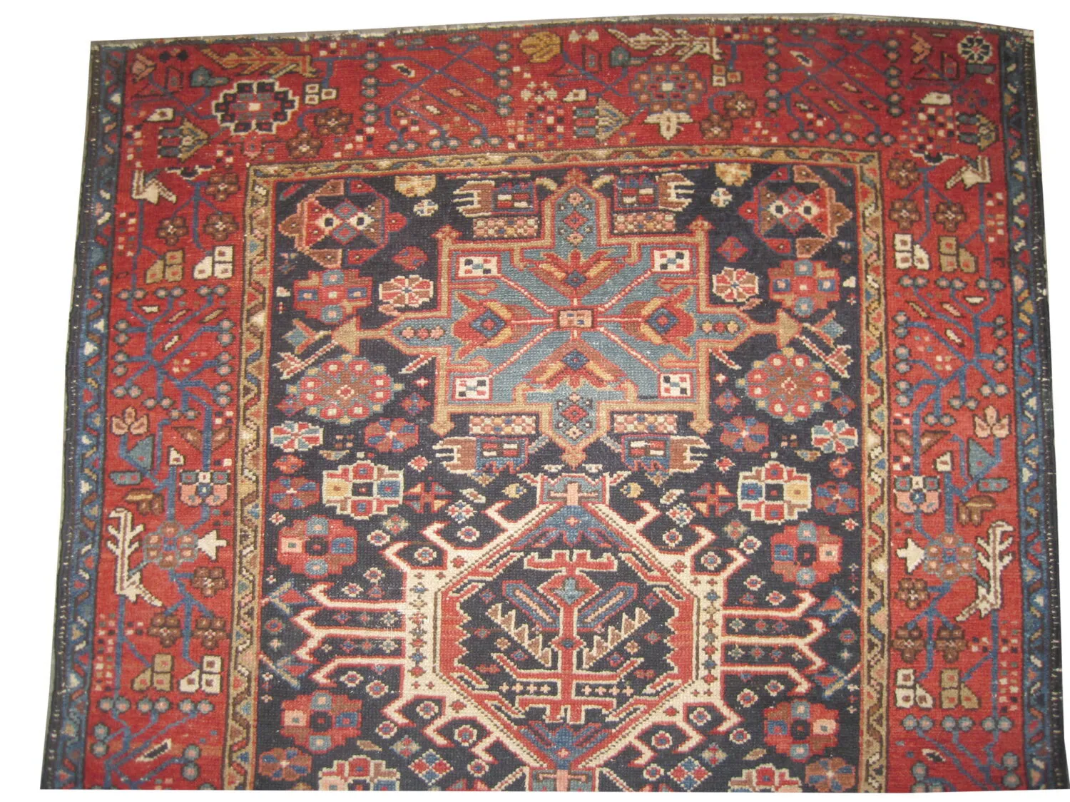 Karadja Persian - Image 3