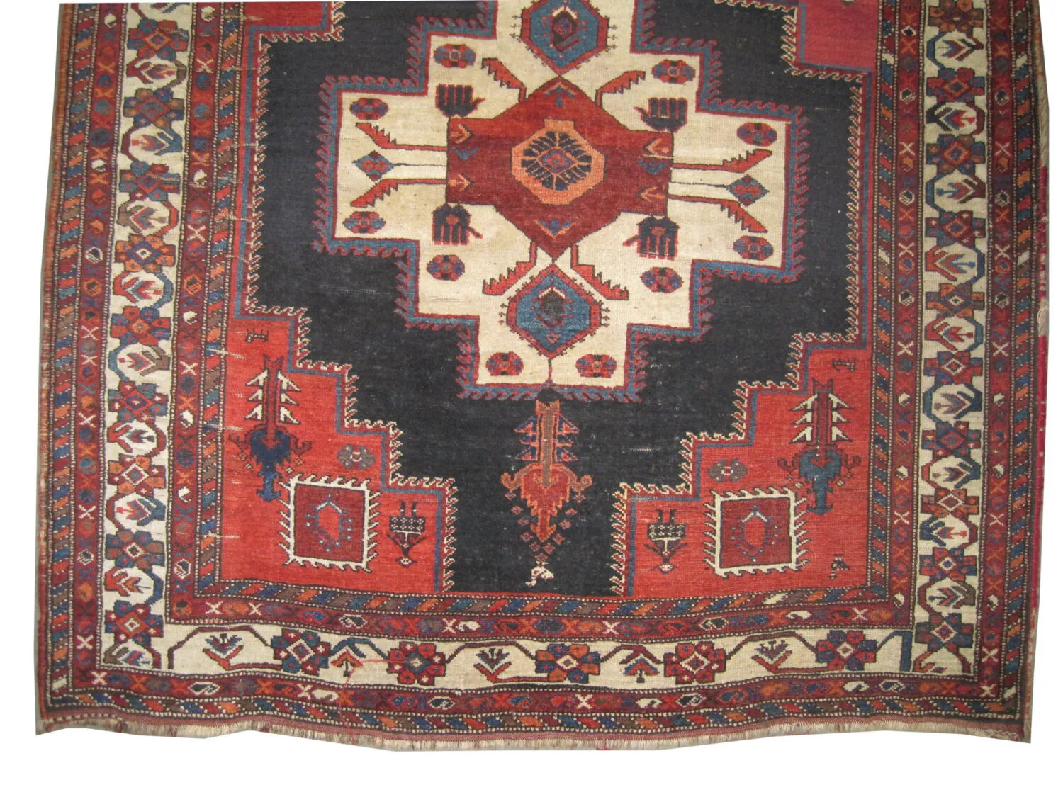 Afshar Persian - Image 2
