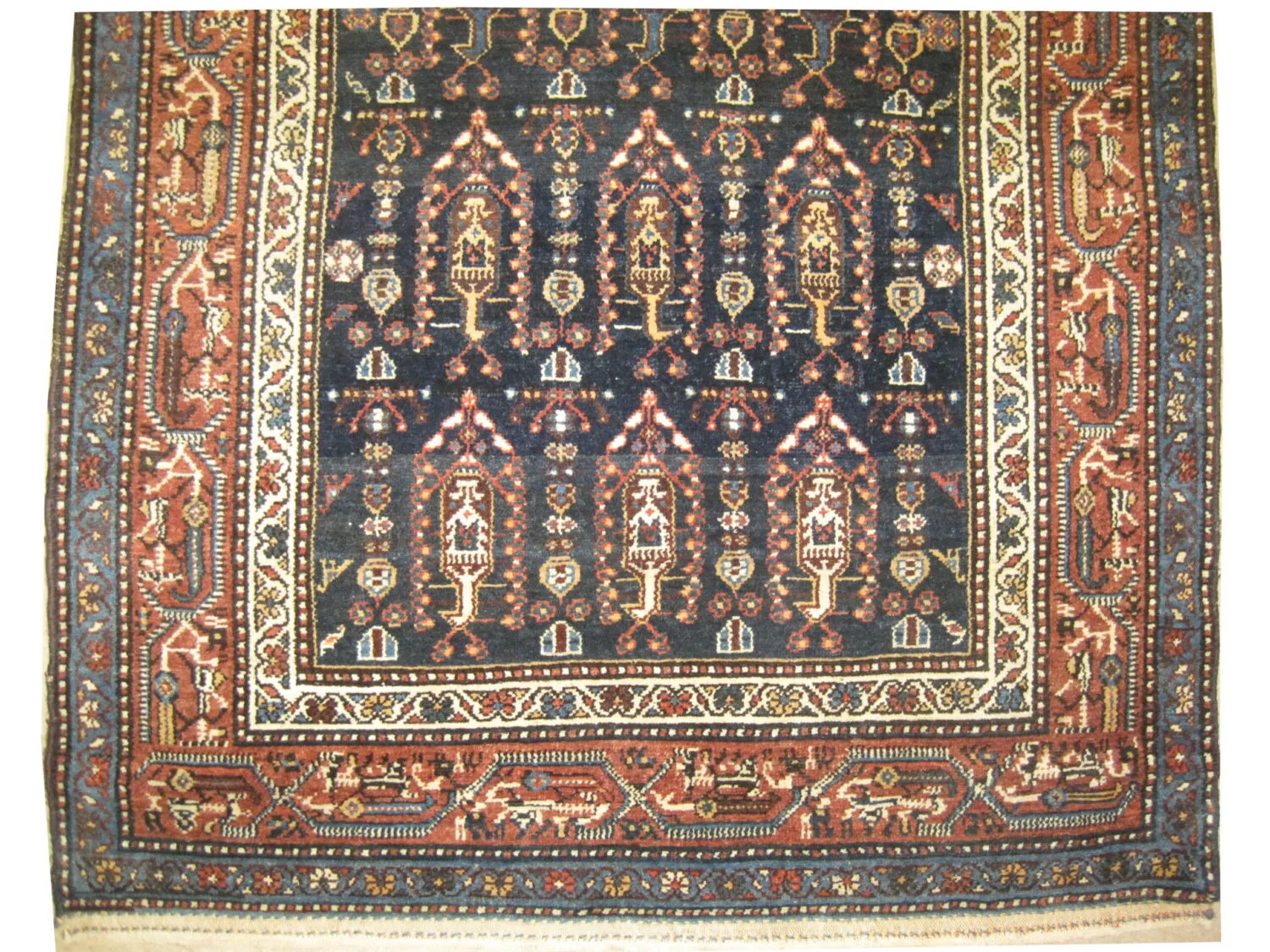 Seraband Persian - Image 2