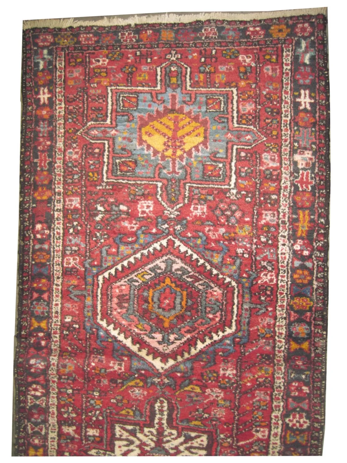 Karadja Persian - Image 2