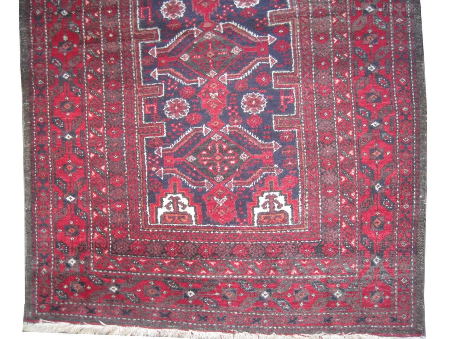 Belutsch Persian - Image 2