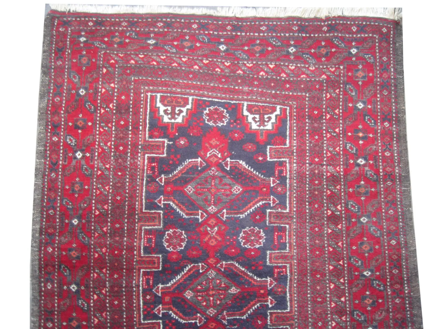 Belutsch Persian - Image 3