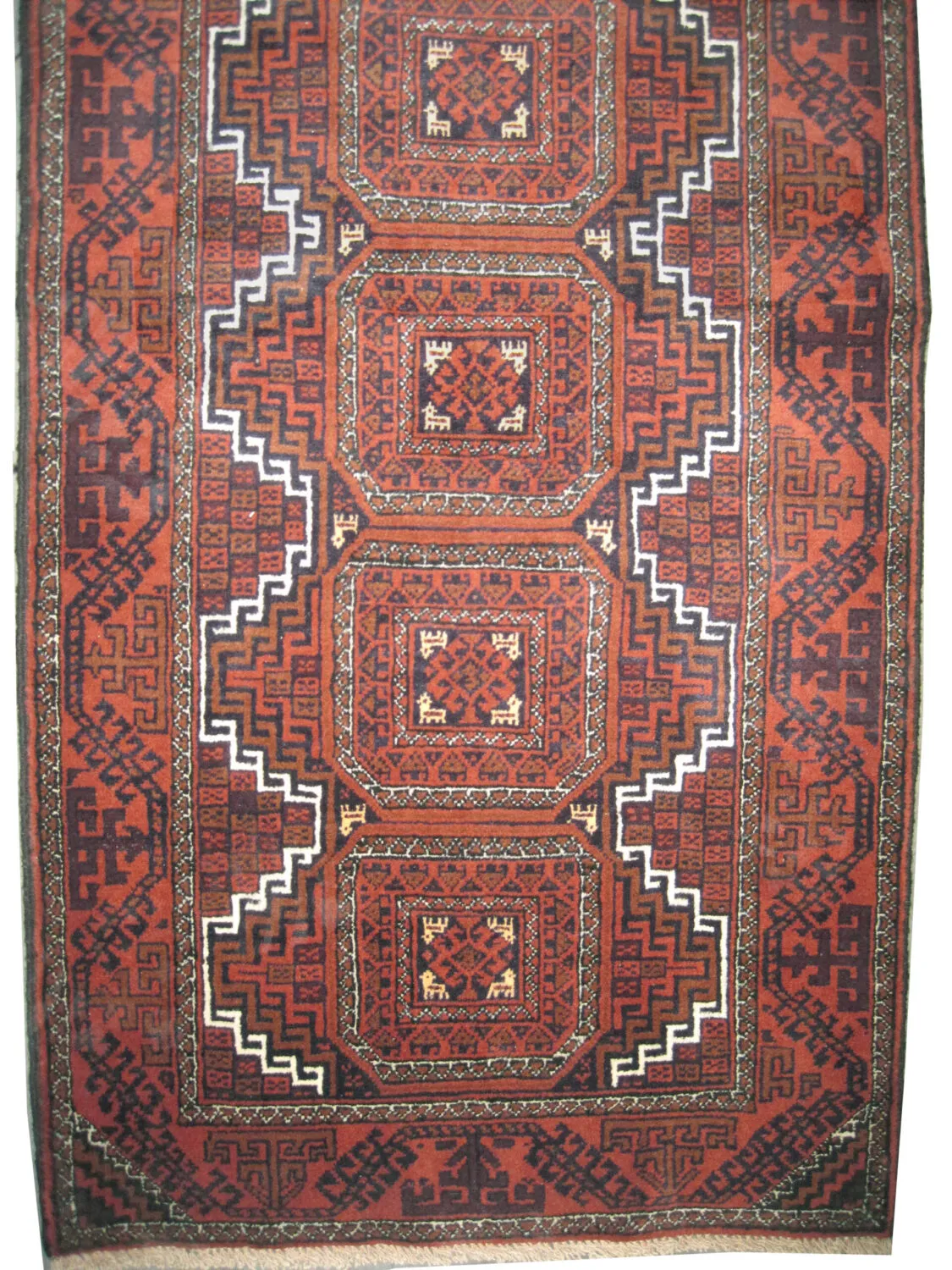 Belutsch Persian - Image 2