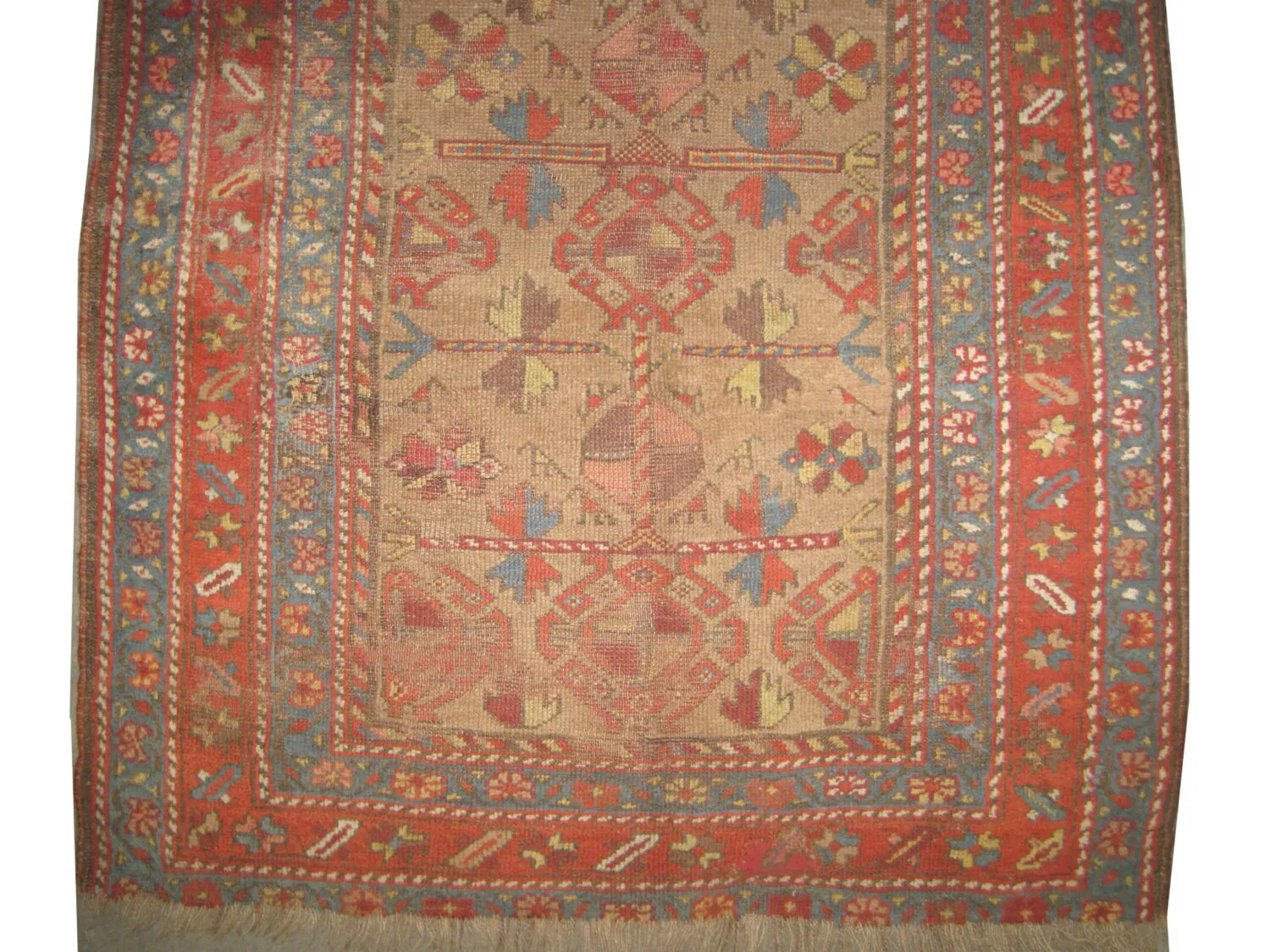 Shahsavan Persian - Image 2