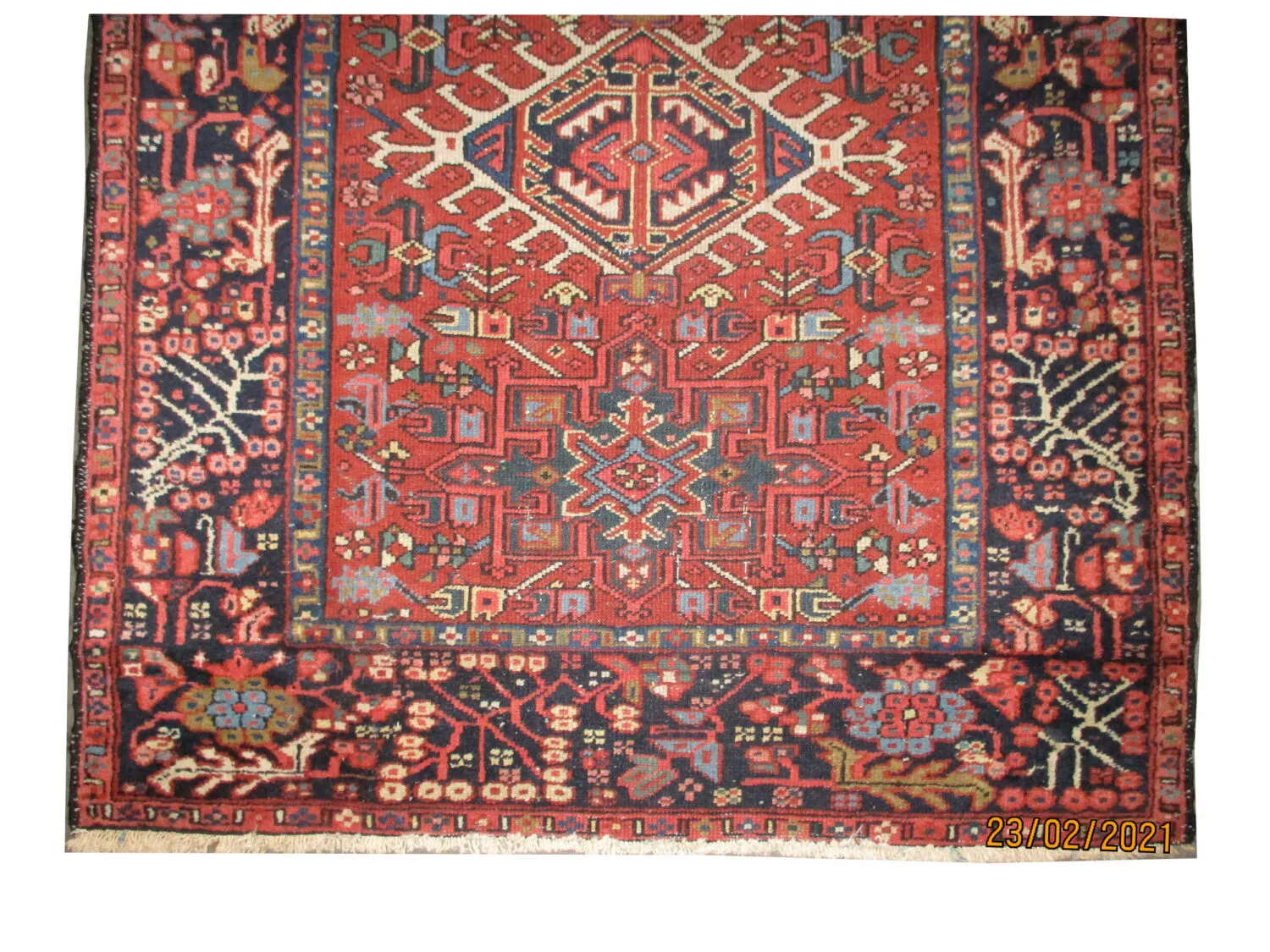 Karadja Persian - Image 2