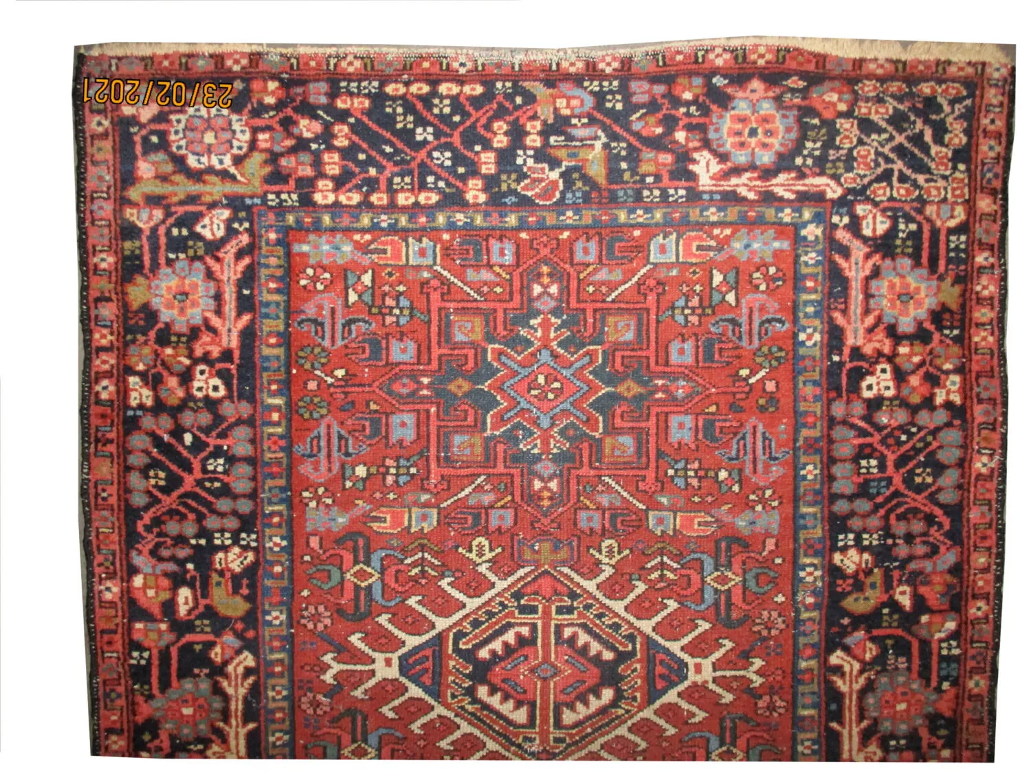 Karadja Persian - Image 3