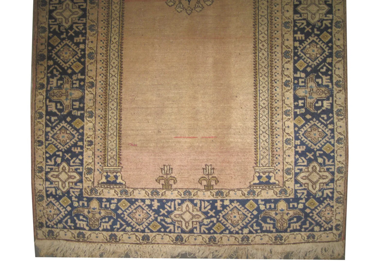 Tabriz Persian - Image 3