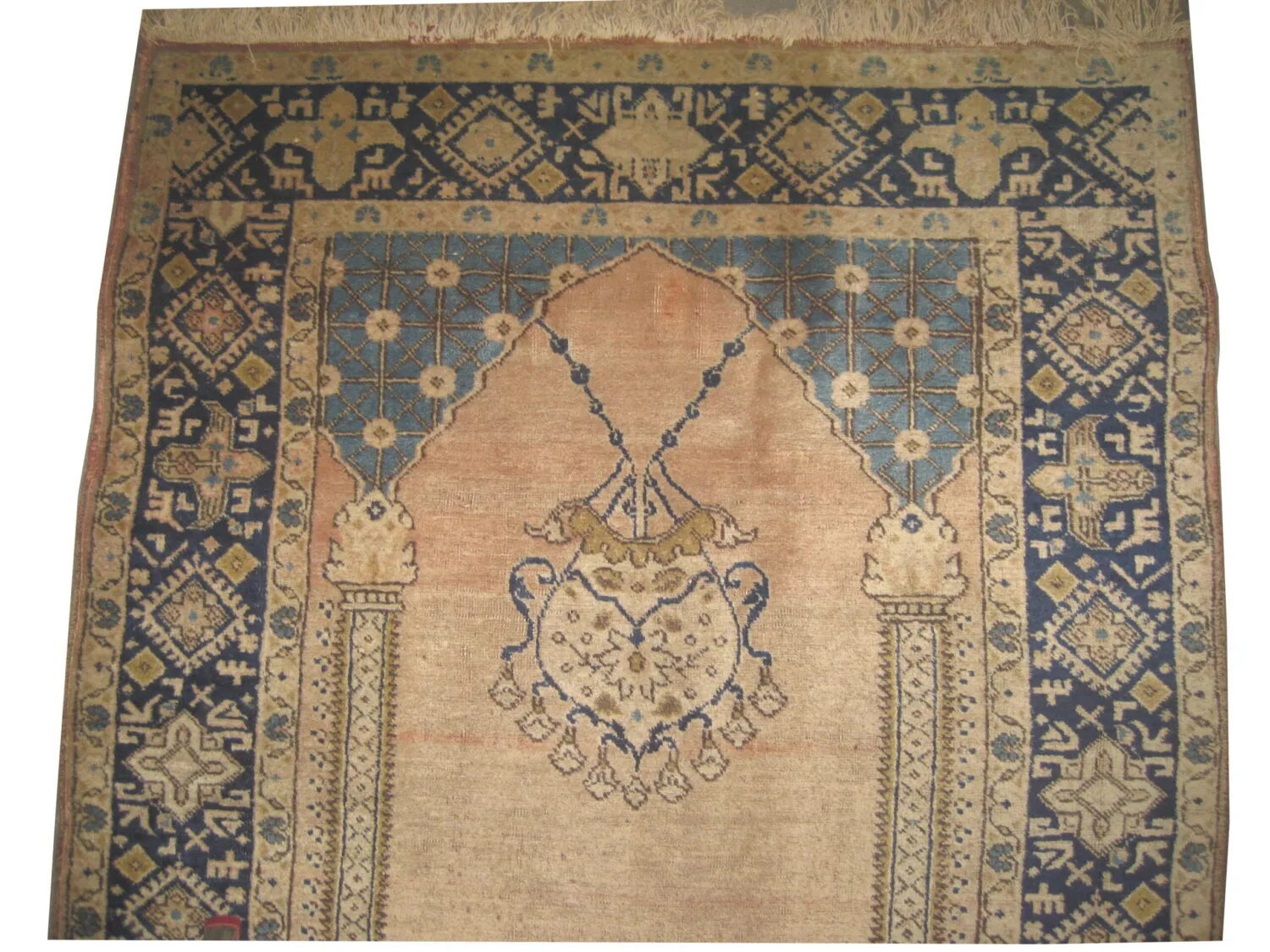 Tabriz Persian - Image 2