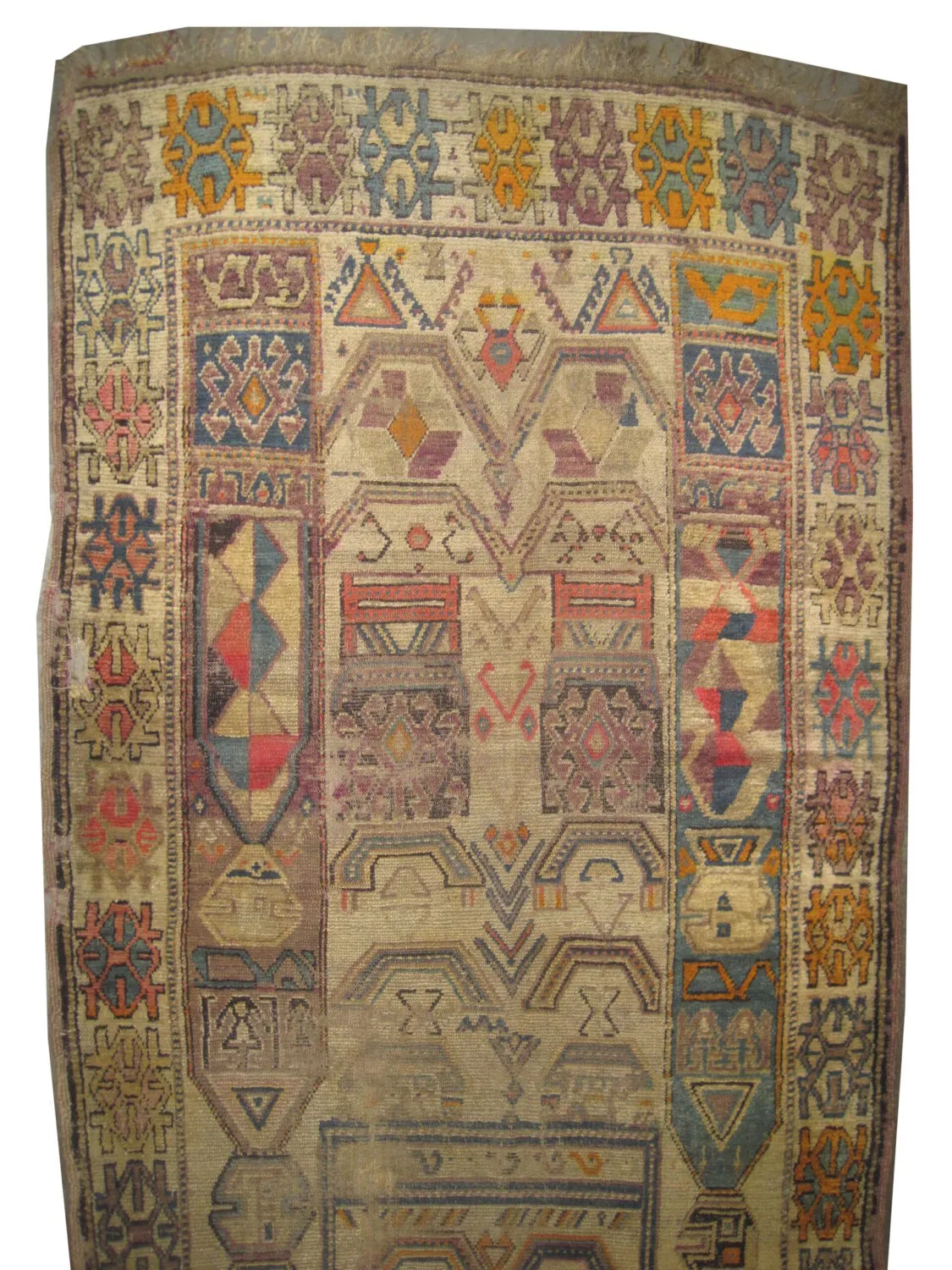 Gutschan Kurd Persian - Image 2