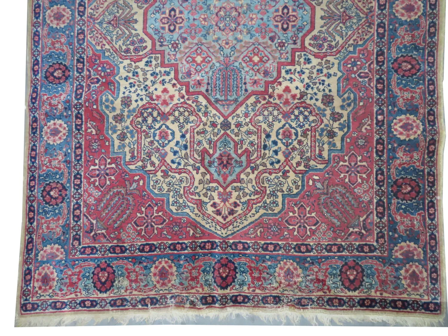 Tabriz Persian - Image 3