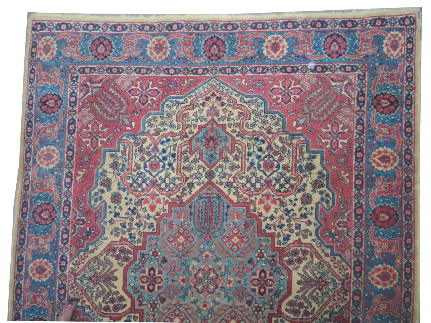 Tabriz Persian - Image 2