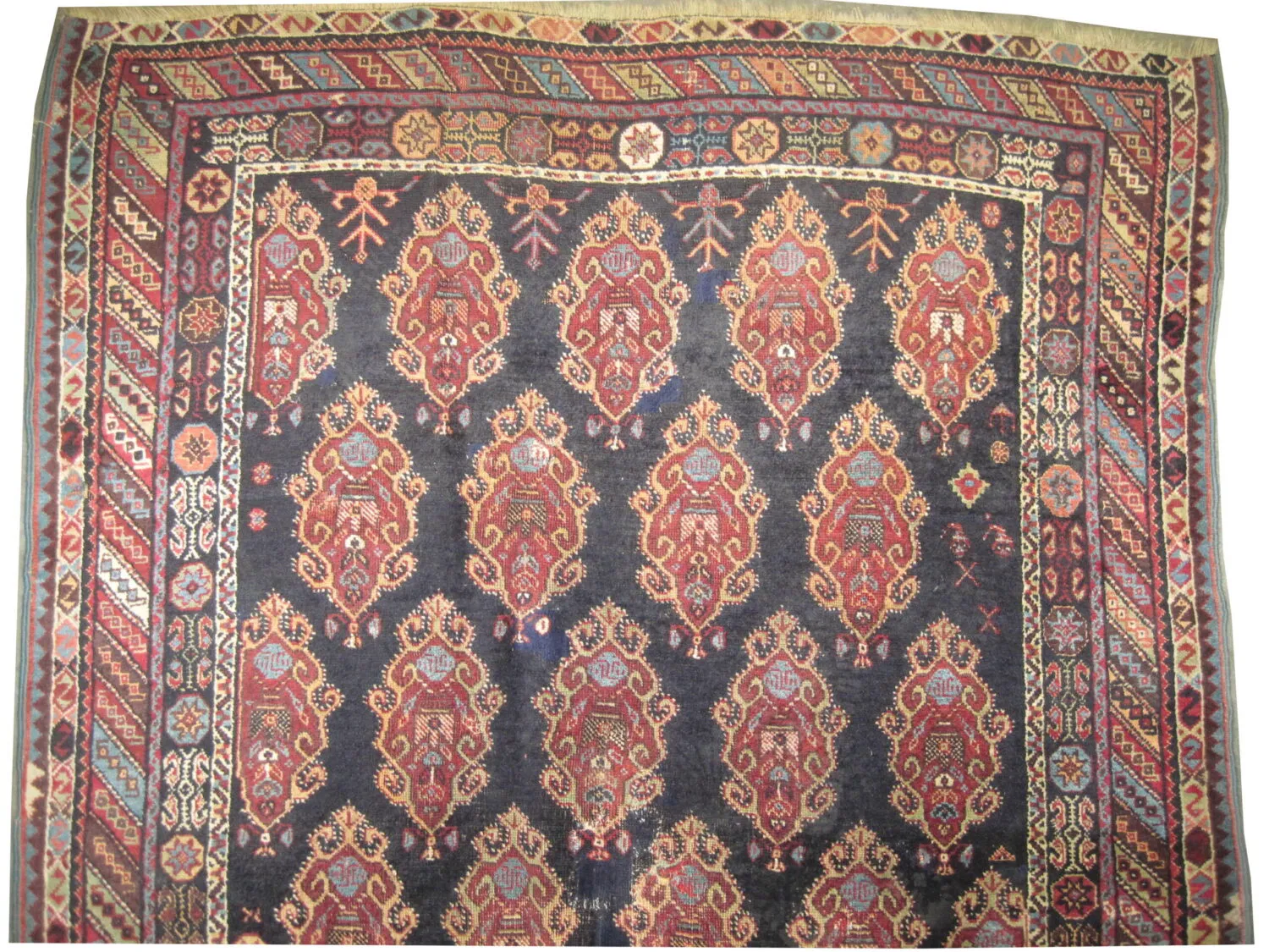 Afshar Persian - Image 2