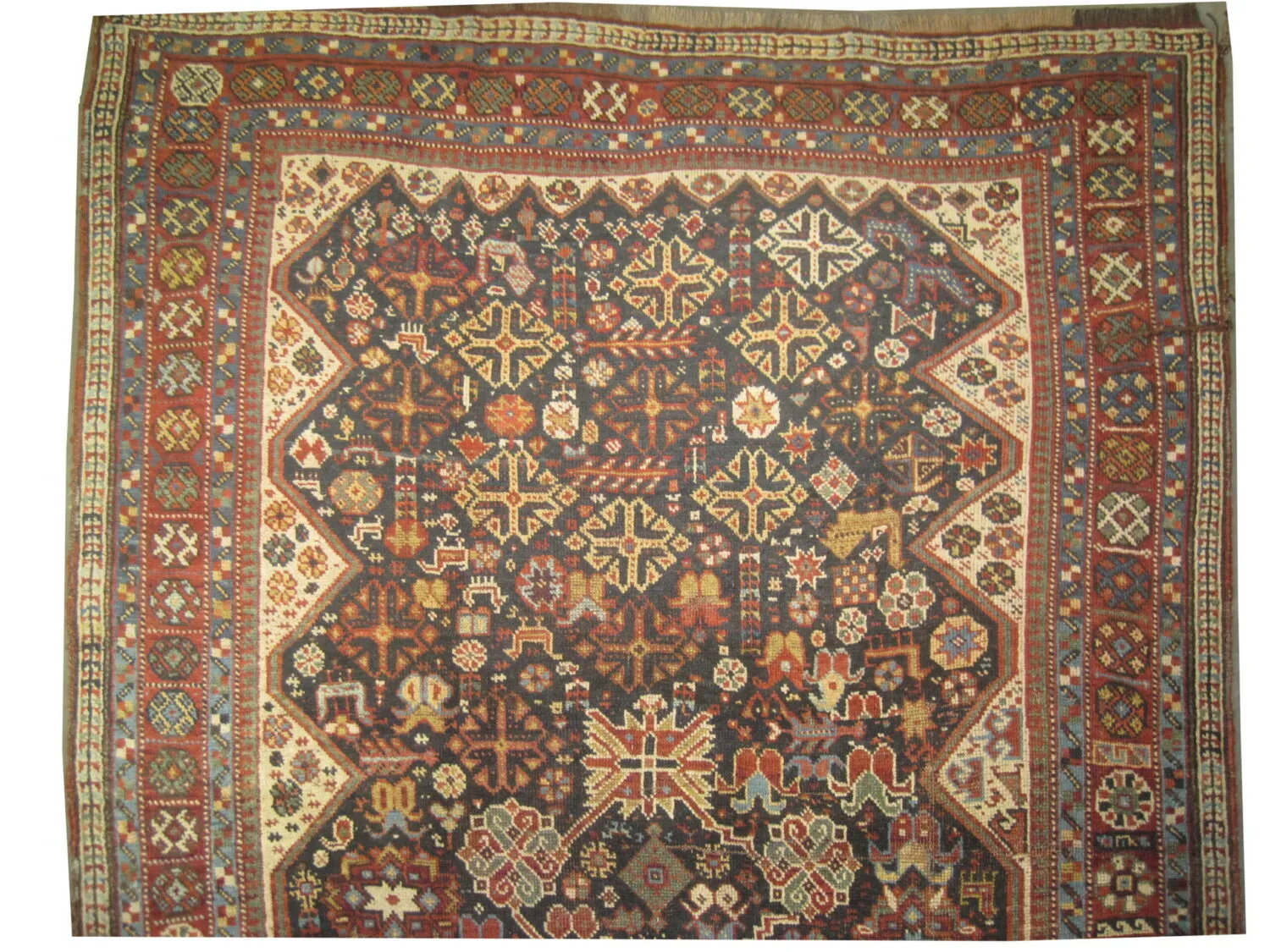 Qashqai Persian - Image 2
