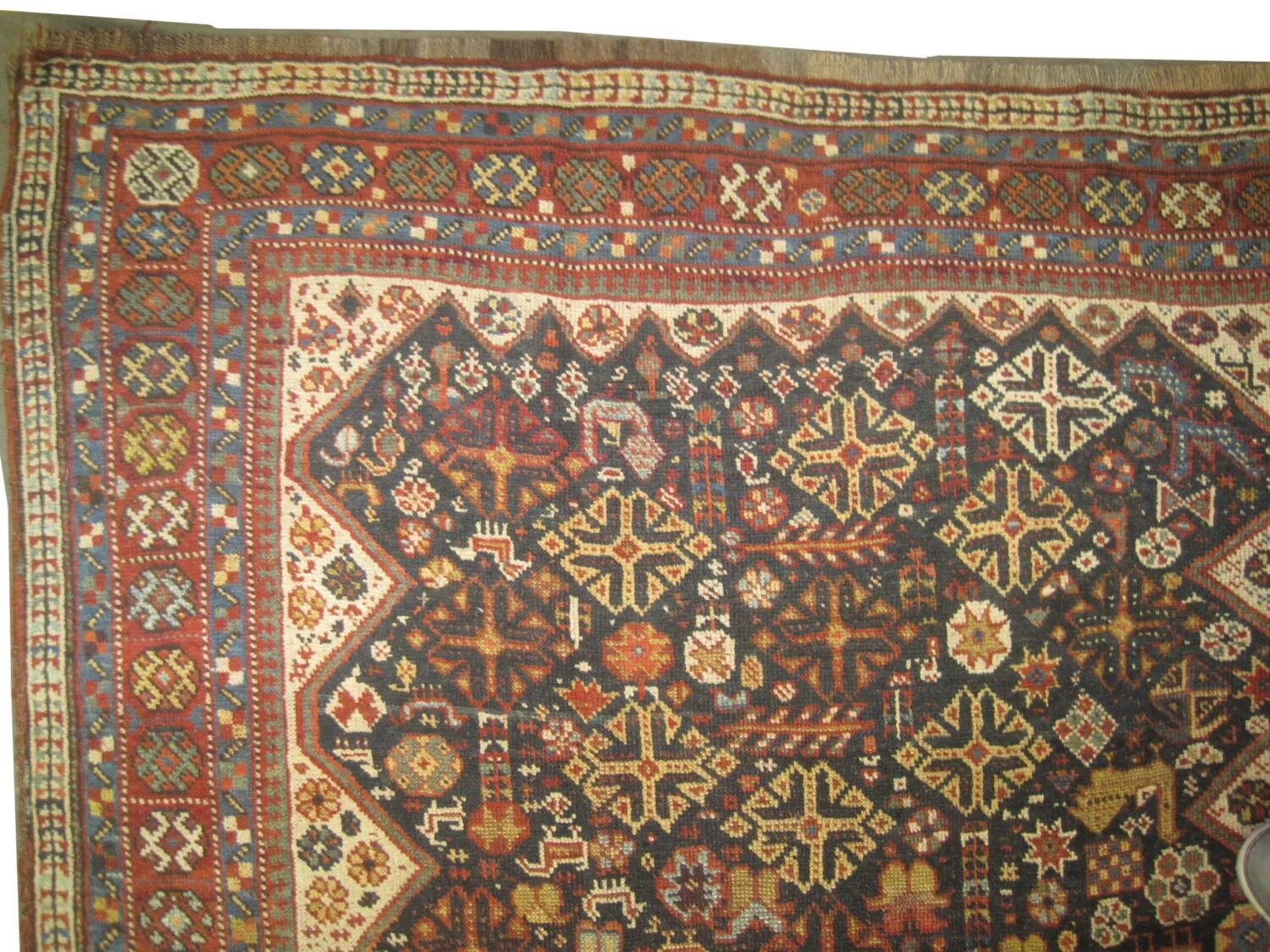 Qashqai Persian - Image 4