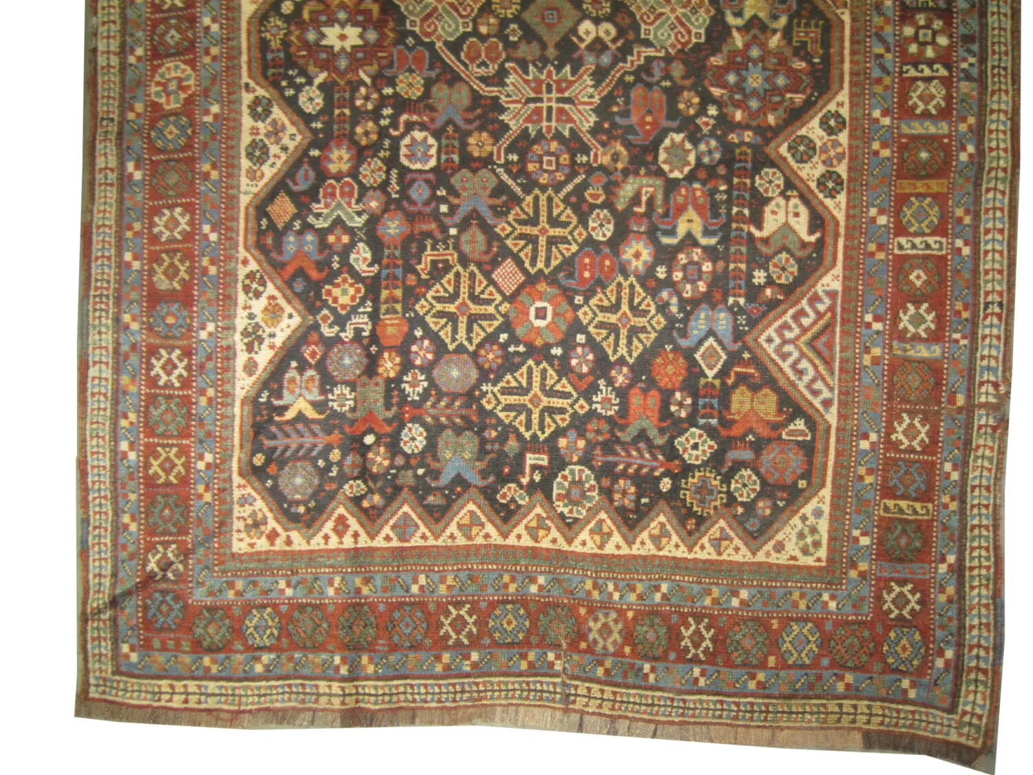 Qashqai Persian - Image 3