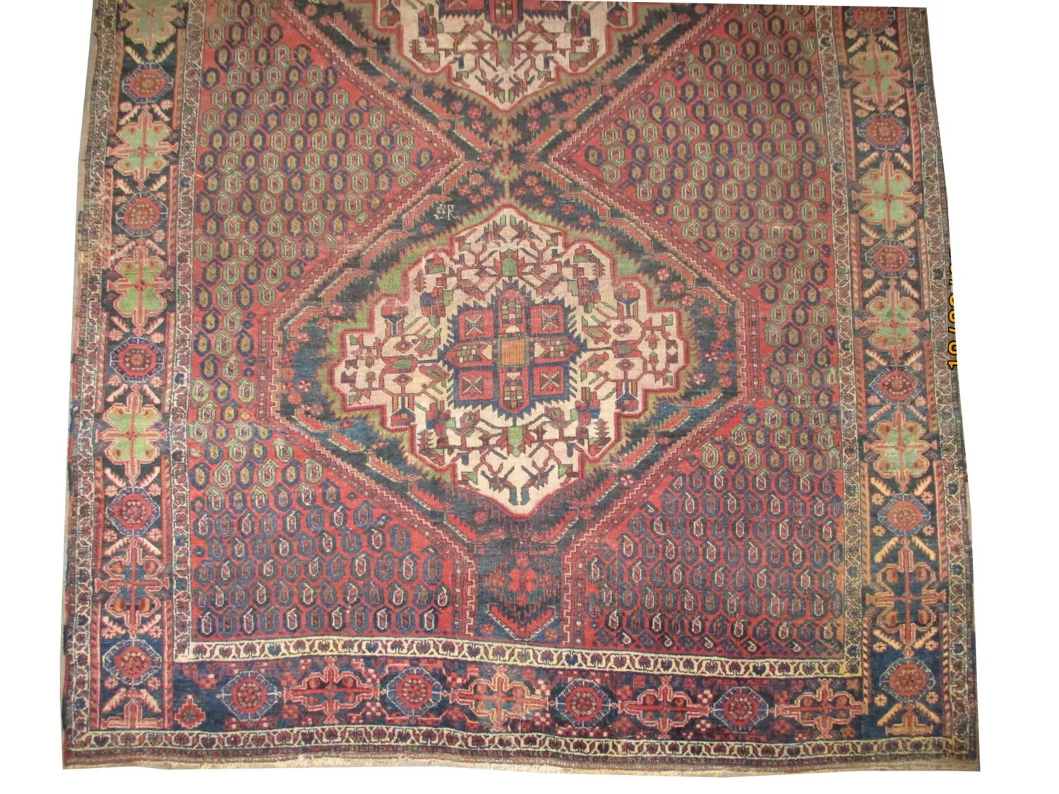 Afshar Persian - Image 2