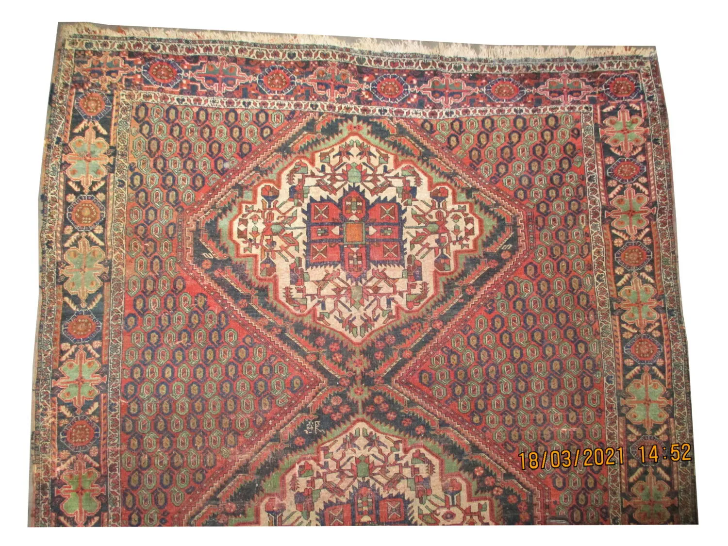 Afshar Persian - Image 3