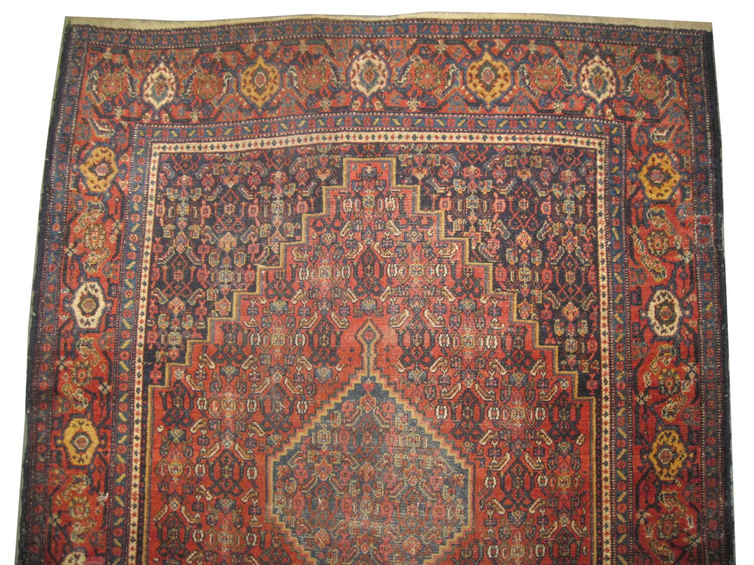 Senneh Persian - Image 3
