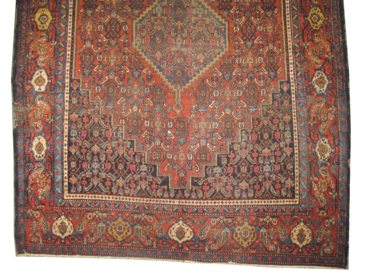 Senneh Persian - Image 2