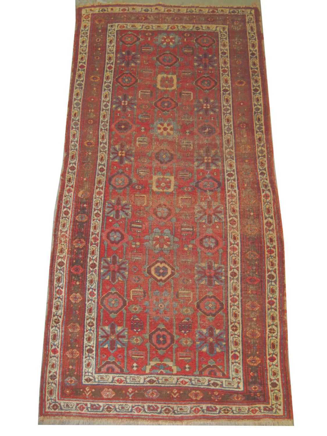 Veramin Persian