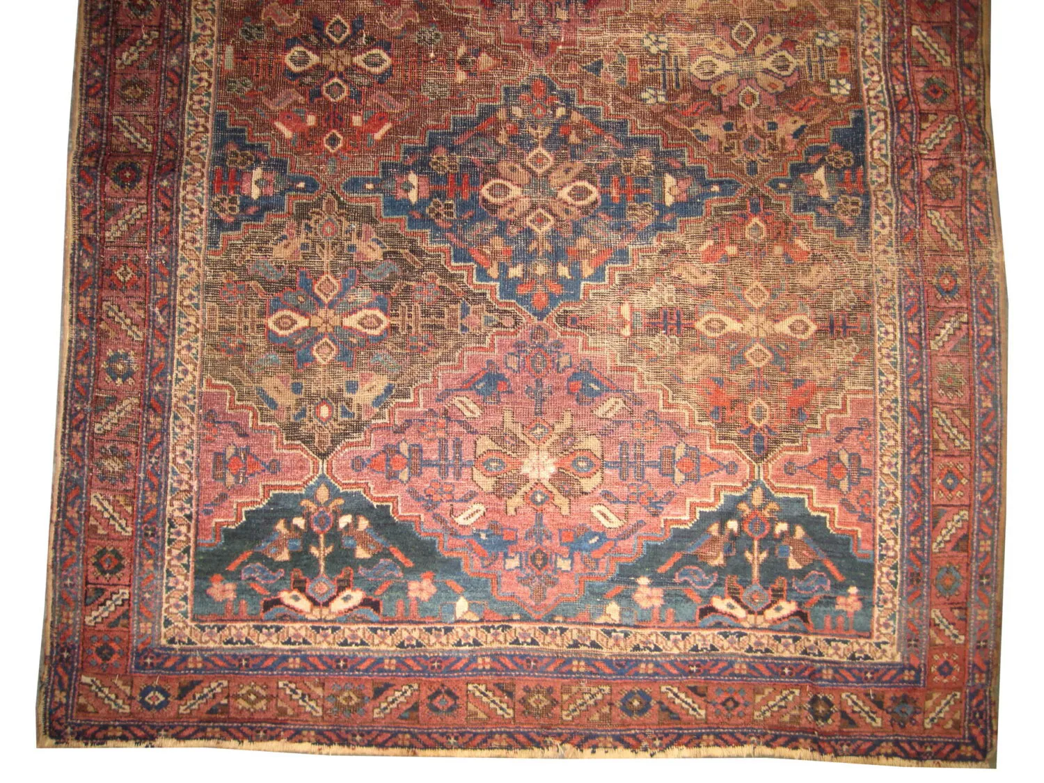 Afshar Persian - Image 3