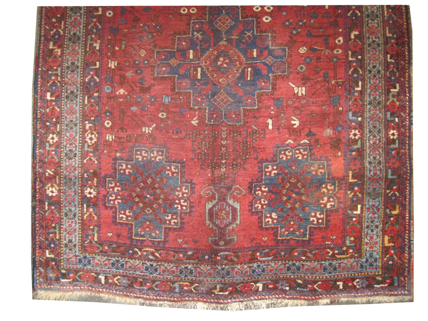 Afshar Persian - Image 3