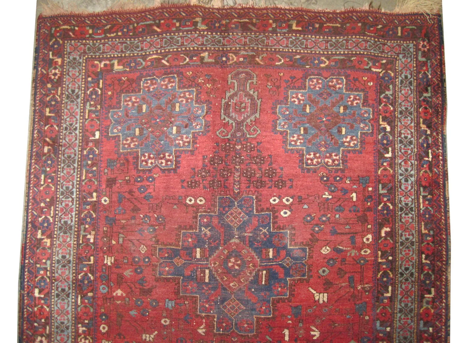Afshar Persian - Image 2
