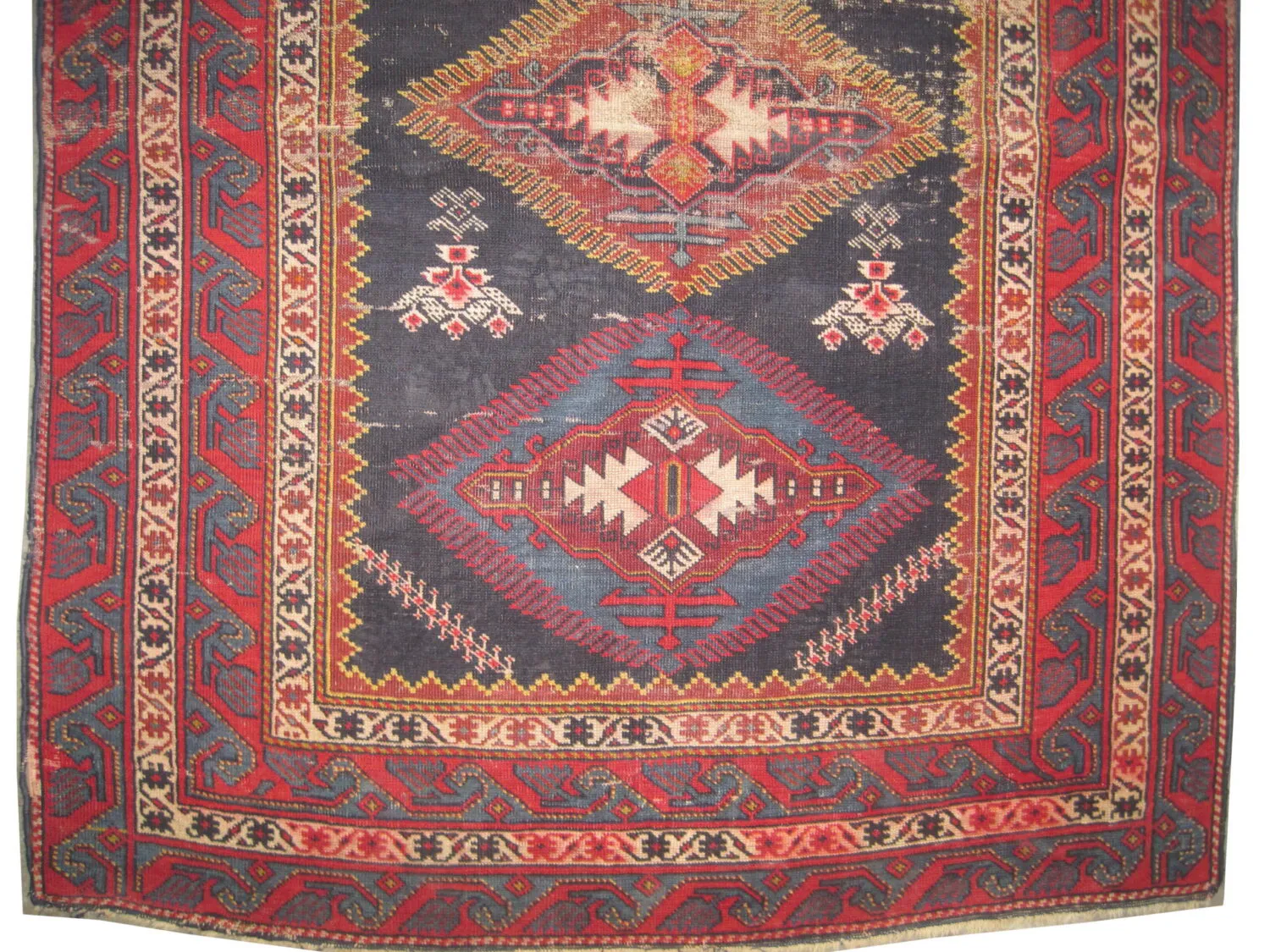 Kouba Caucasian - Image 3