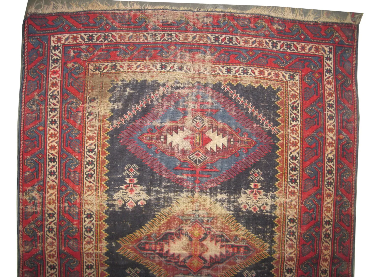 Kouba Caucasian - Image 2