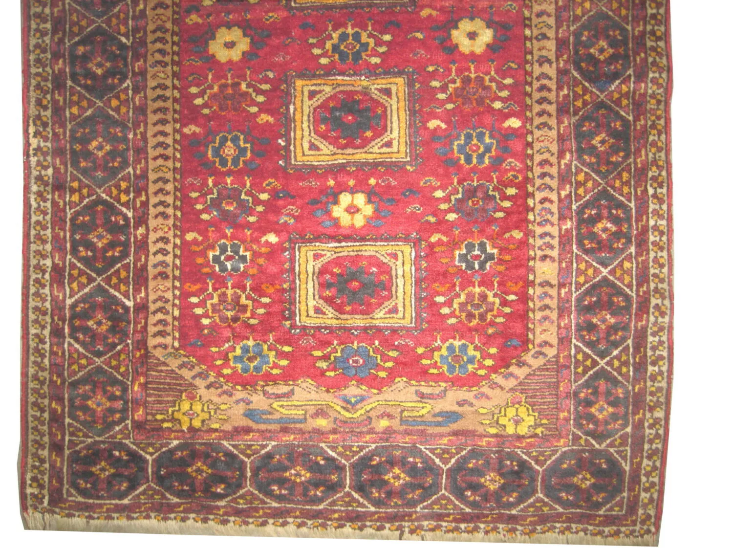 Beshir Turkmen - Image 2