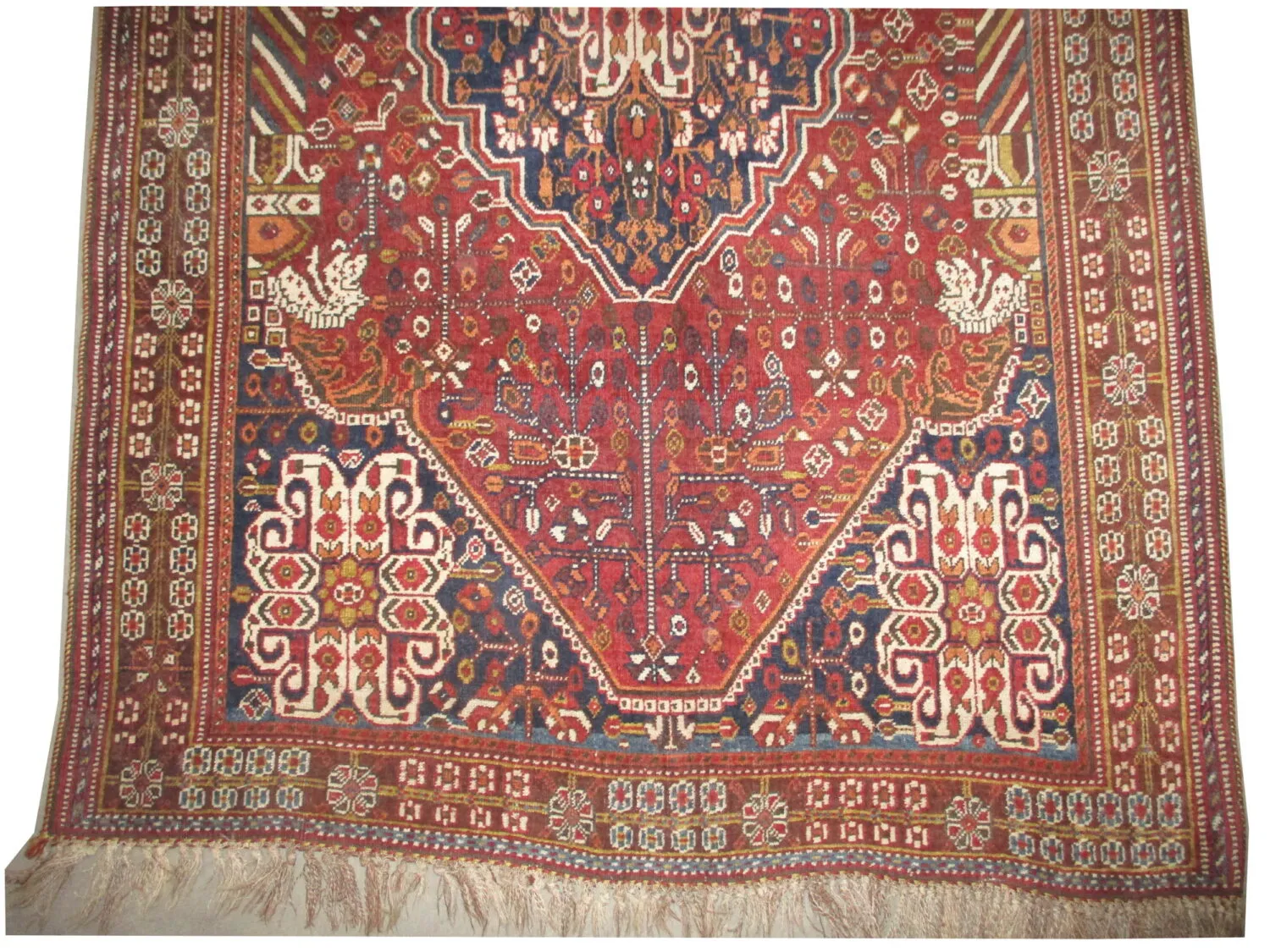 Qashqai Persian - Image 4