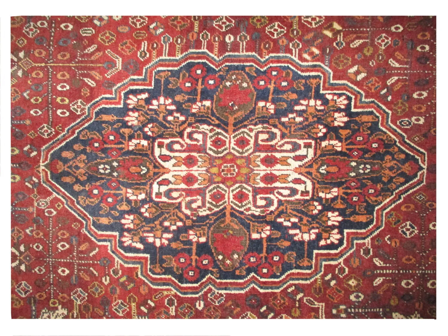 Qashqai Persian - Image 3