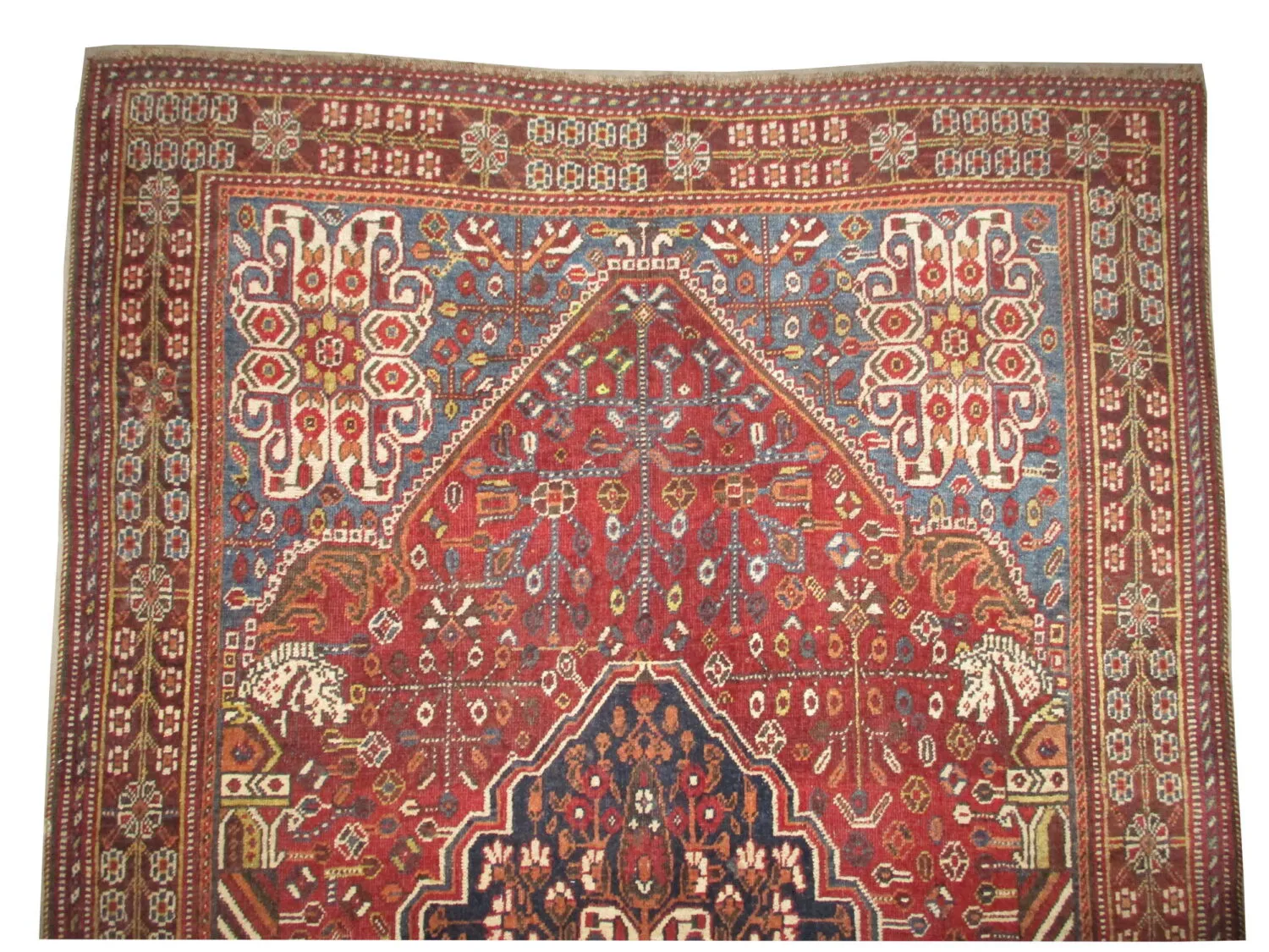 Qashqai Persian - Image 2