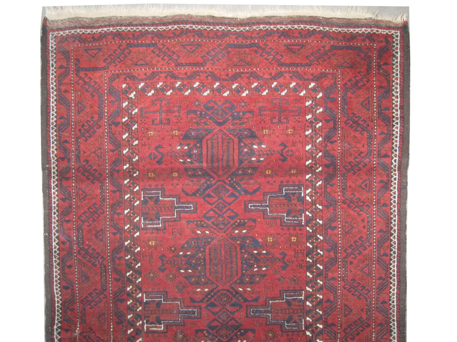 Belutsch Persian - Image 2