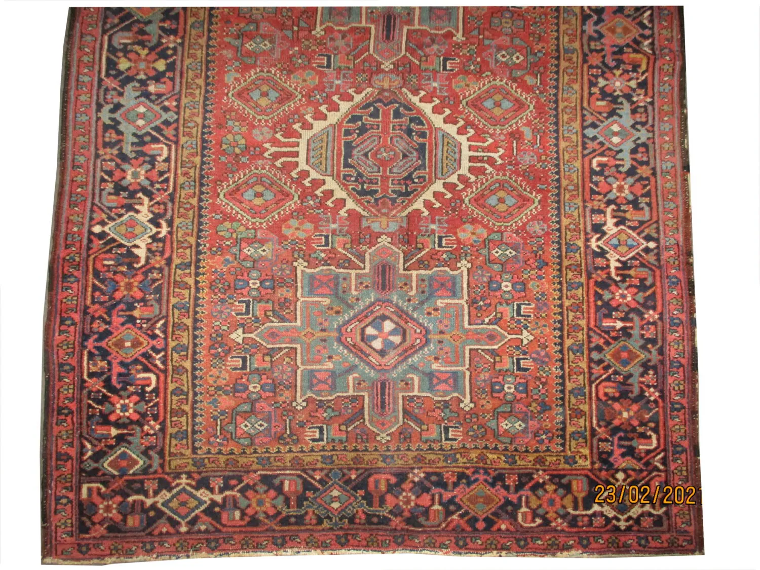 Karadja Persian - Image 3