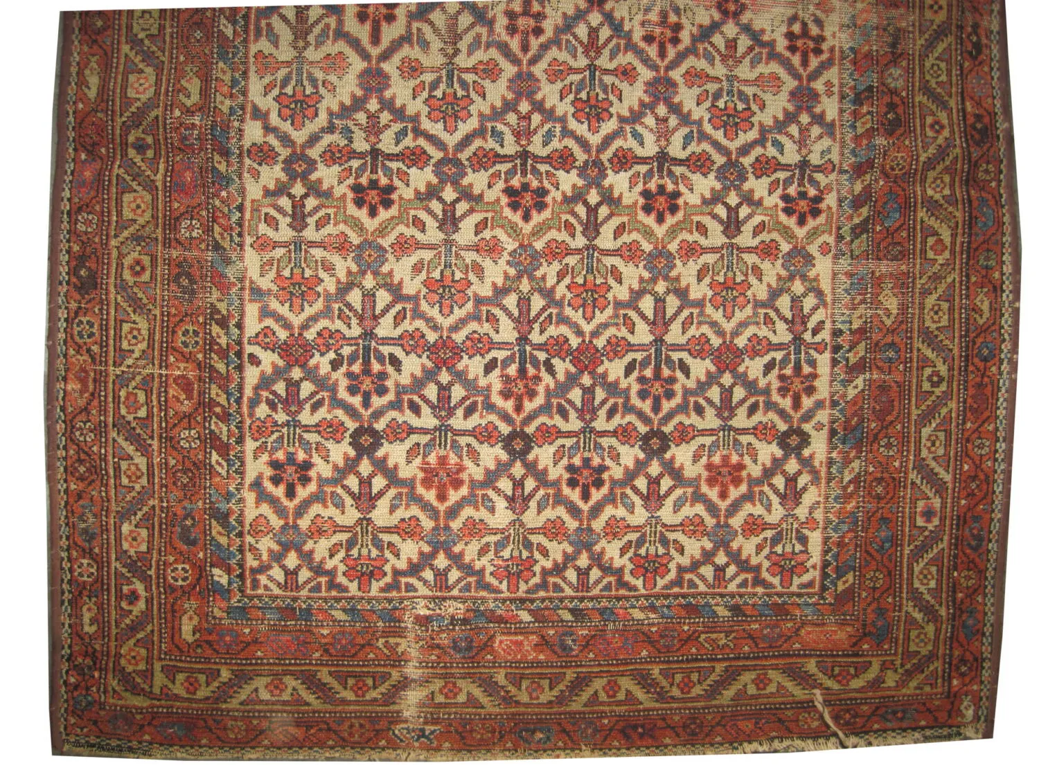 Farahan Persian - Image 3