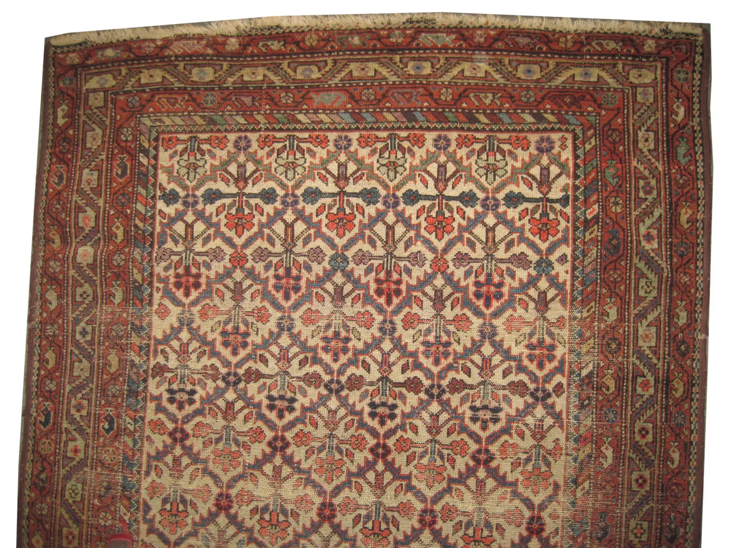 Farahan Persian - Image 2