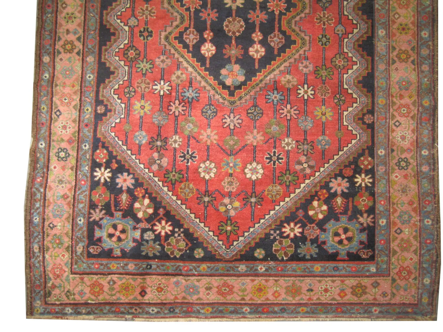 Noubaran Persian - Image 3