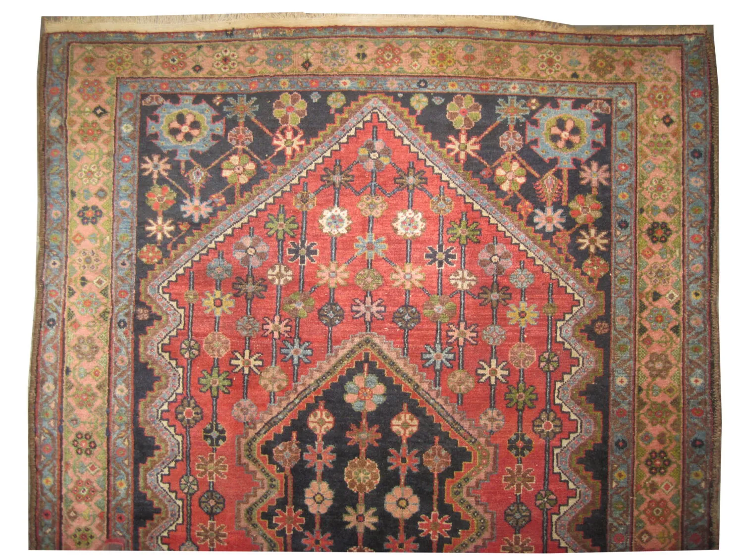 Noubaran Persian - Image 2
