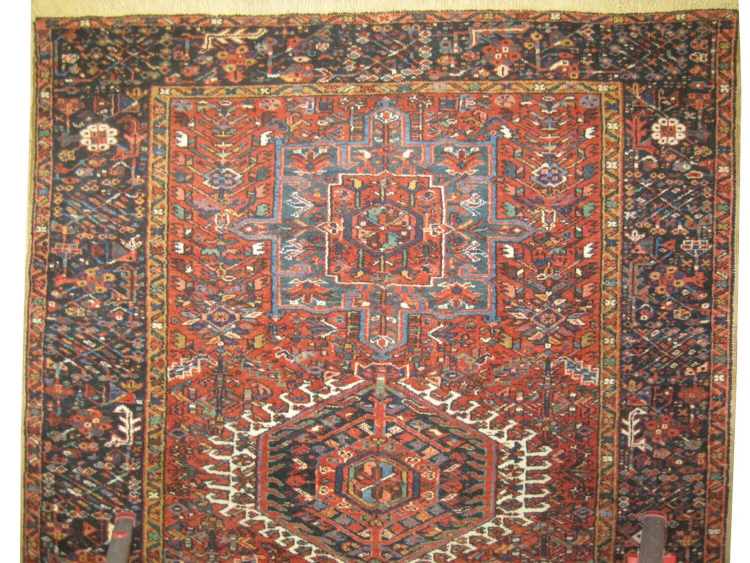 Karadja Persian - Image 3