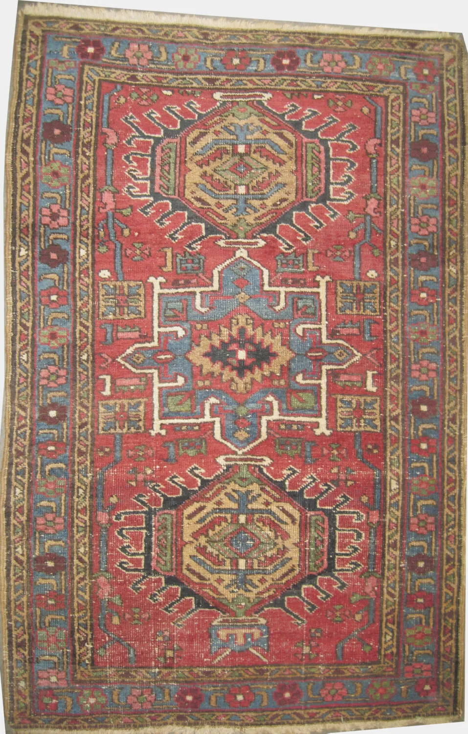 Karadja Persian - Image 2
