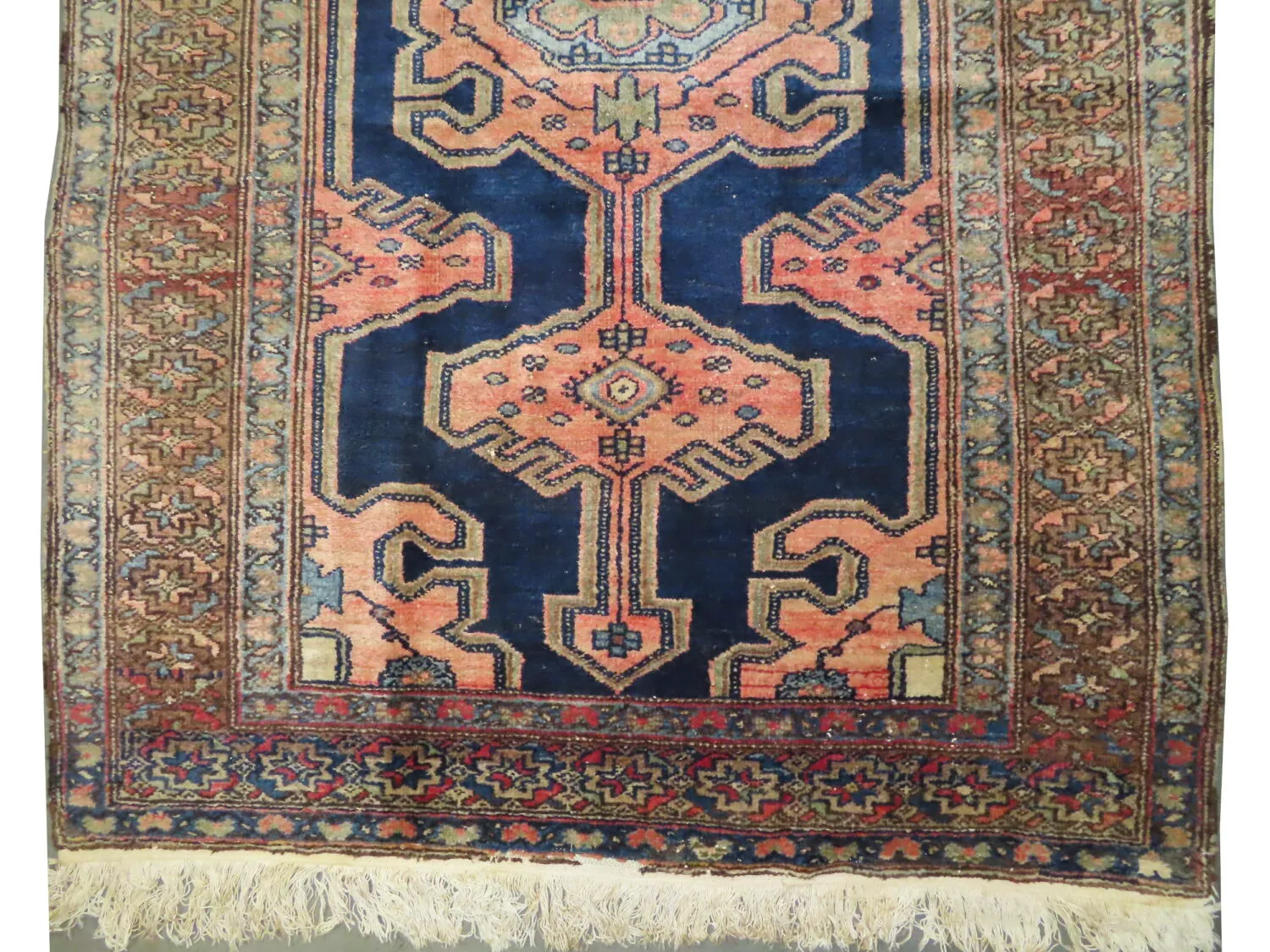 Malaier Persian - Image 3