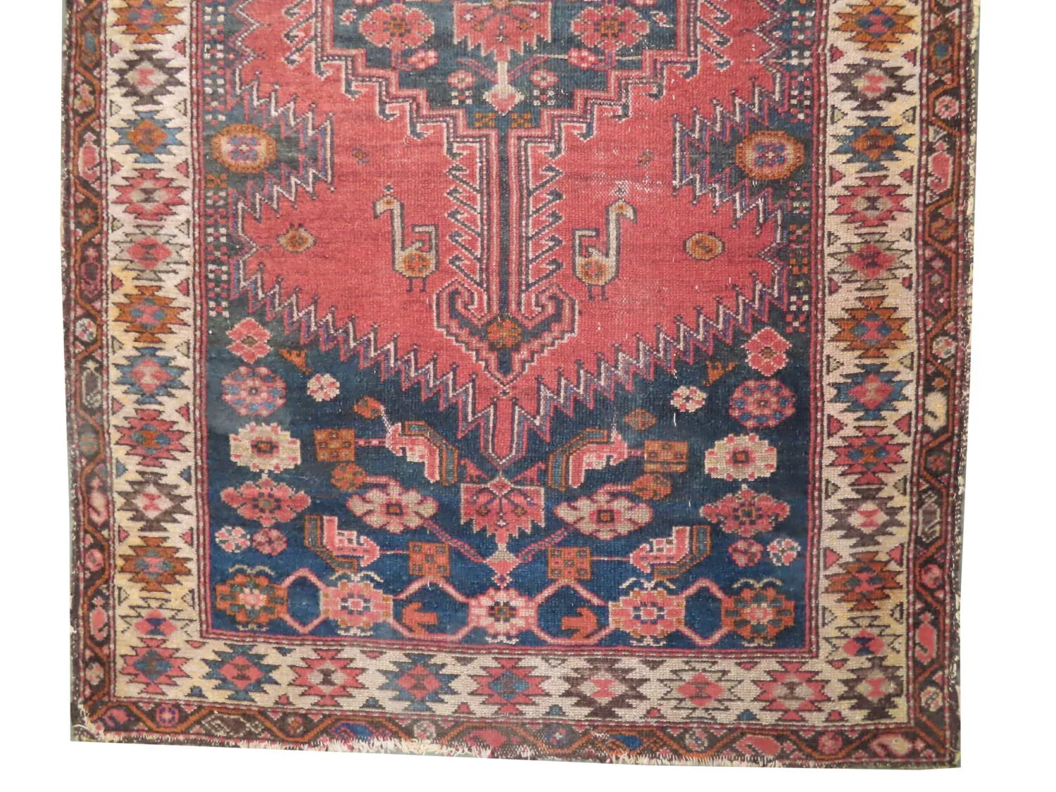 Farahan Persian - Image 3