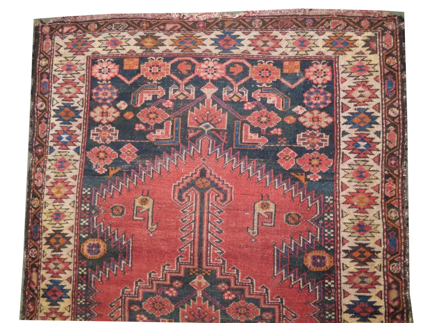 Farahan Persian - Image 2