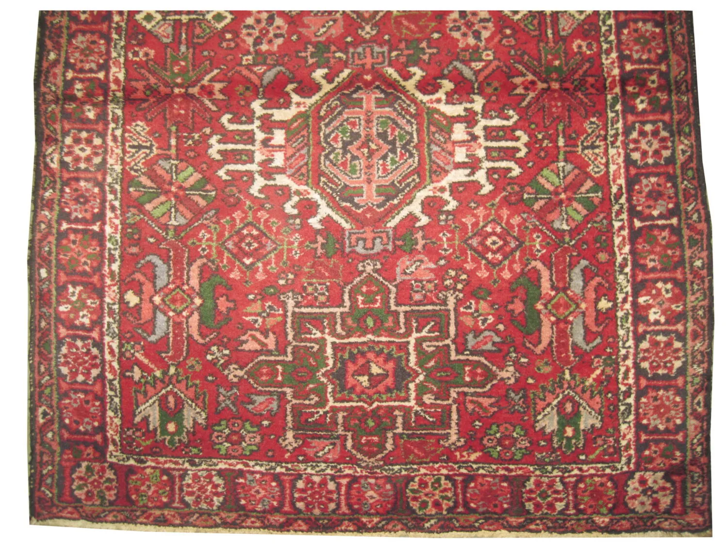 Karadja Persian - Image 2