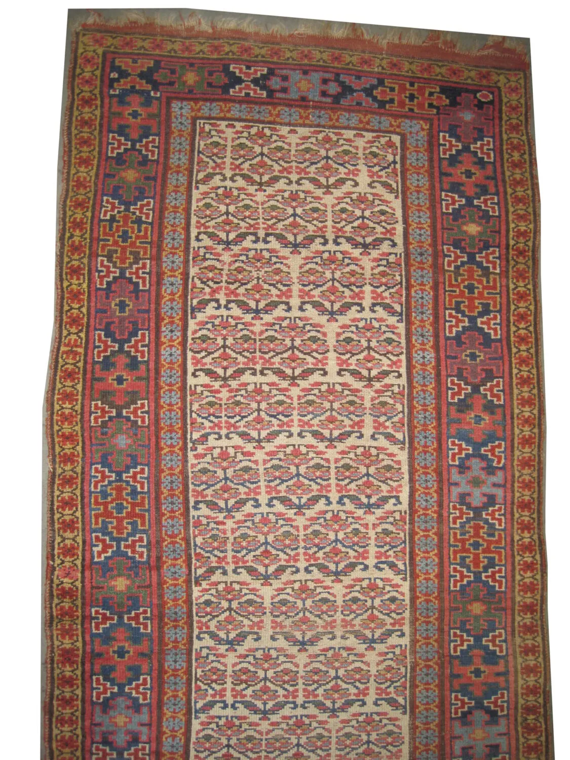 Louri Persian - Image 3
