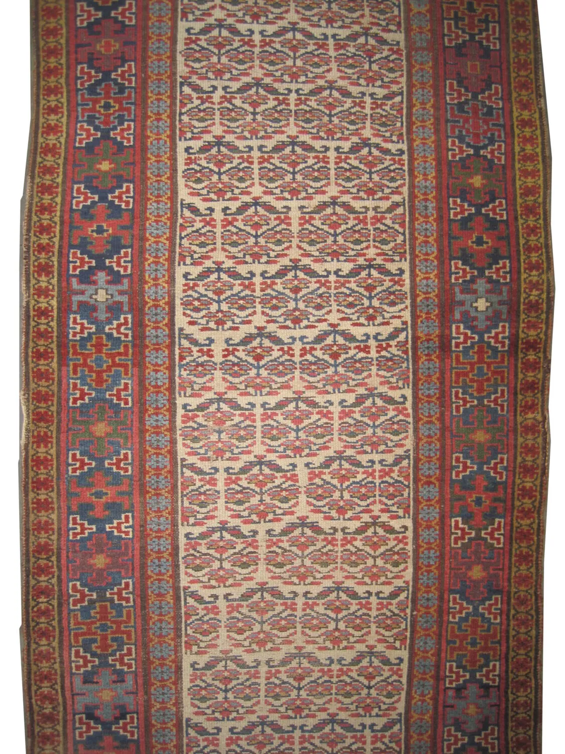 Louri Persian - Image 2