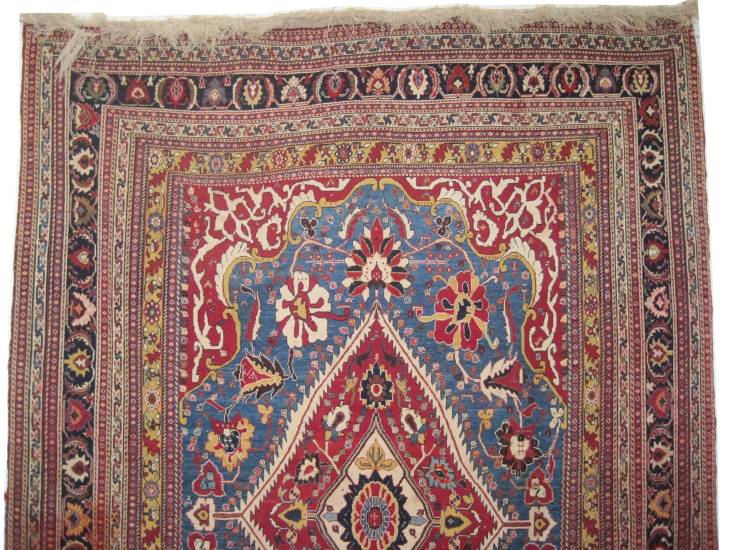 Qashqai Persian - Image 3