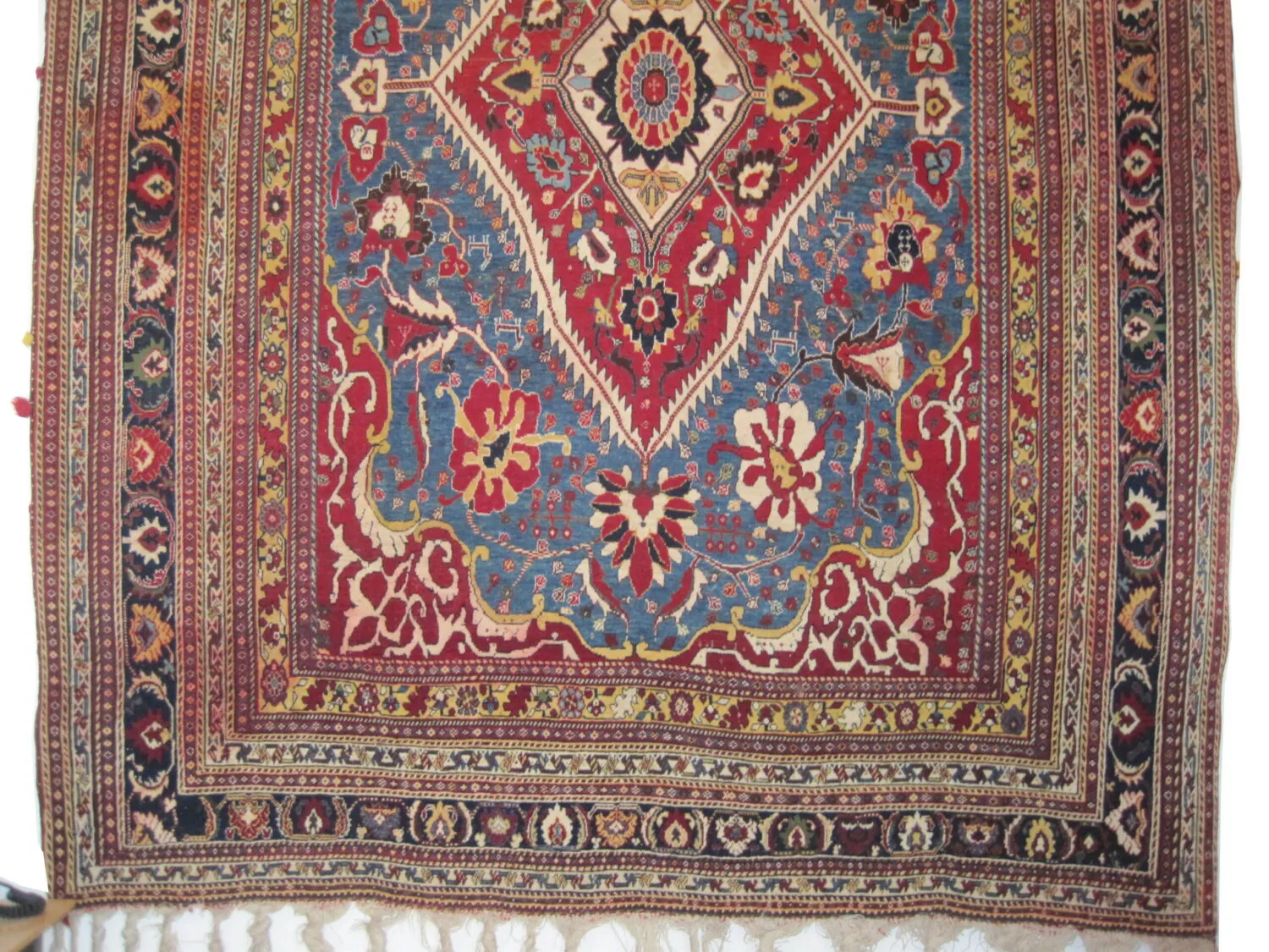 Qashqai Persian - Image 2