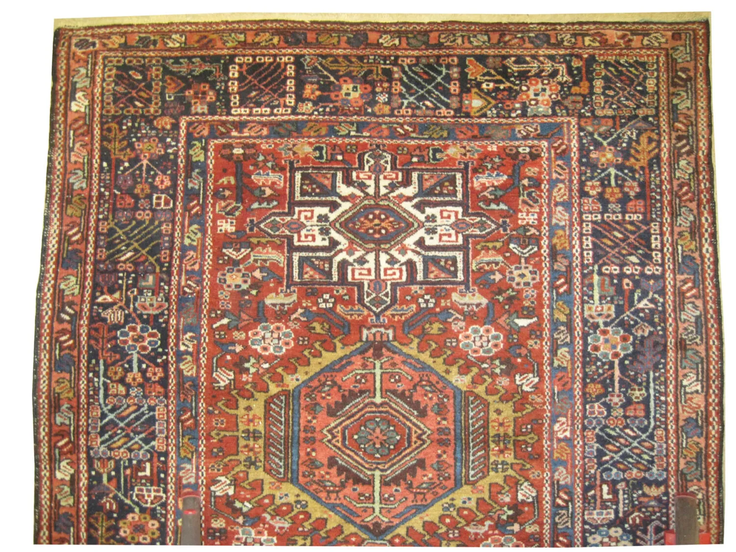Karadja Persian - Image 2